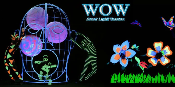 Vstupenka do fantastického černého divadla WOW Show