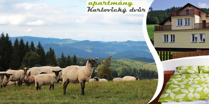 Letní dovolená v Jeseníkách pro dva i celou rodinu