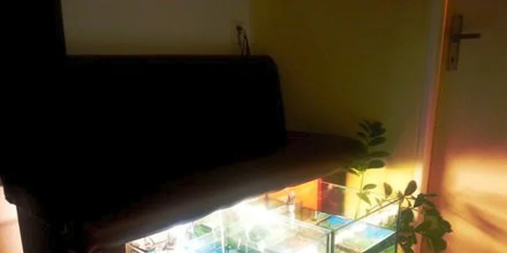 Relaxační egyptská masáž Amon a rybičková pedikúra