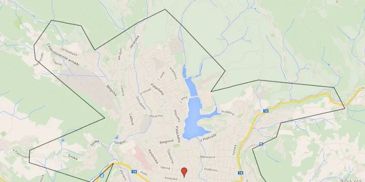 Rozvoz 2× Burger menu s hranolky a salátem