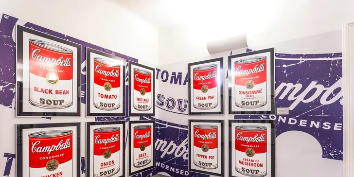 Vstupenka na výstavu I'm OK – Andy Warhol