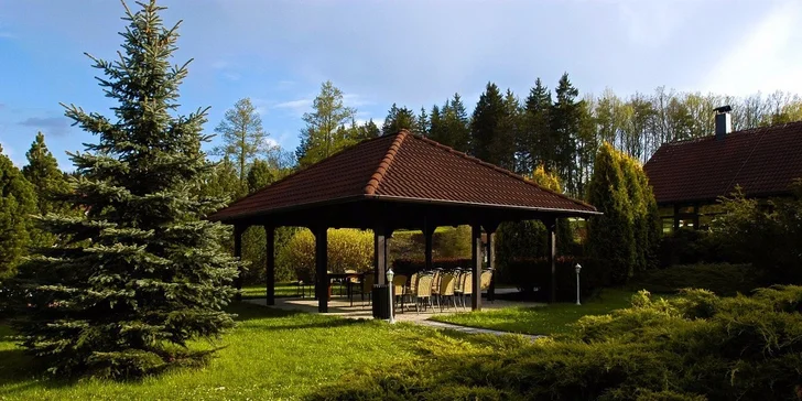 Romantika a dobrodružství: Noc ve stanu v korunách stromů až pro 4 osoby