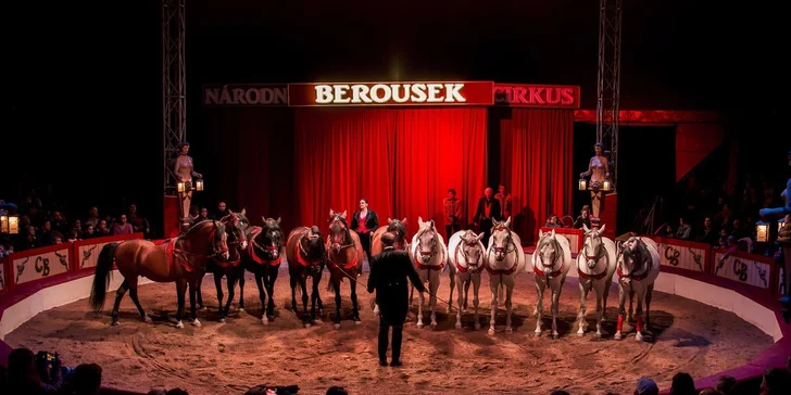 Vstupenky do Národního Cirkusu Originál Berousek