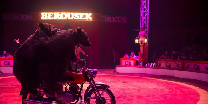Vstupenky do Národního Cirkusu Originál Berousek