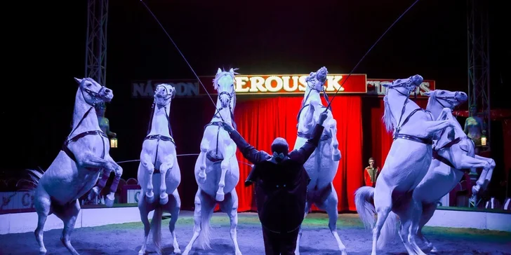 Vstupenky do Národního Cirkusu Originál Berousek