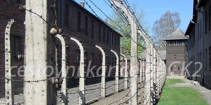 Poznávací exkurze do Osvětimi a Březinky včetně poutavého výkladu