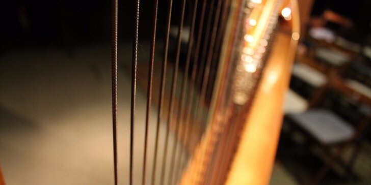 Když harfa kouzlí a flétna zpívá v Jindřišské věži - doprodej