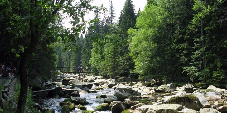 Rodinné prázdniny na Šumavě s polopenzí a wellness