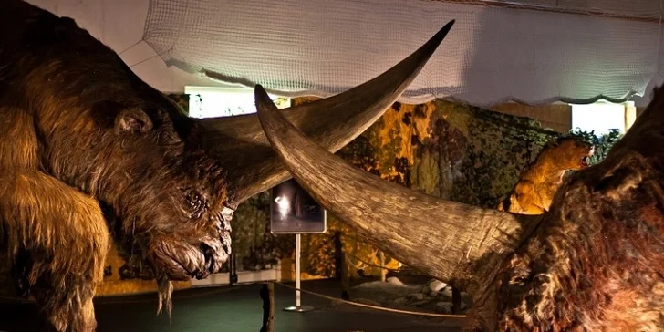 Výstava Giganti doby ledové i zrcadlové bludiště