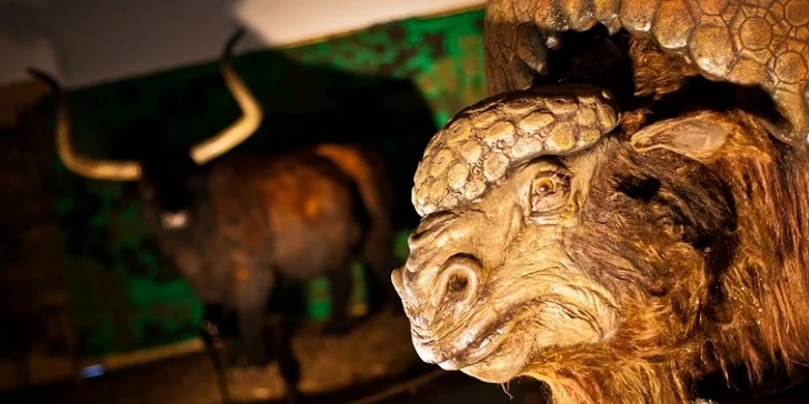Výstava Giganti doby ledové i zrcadlové bludiště