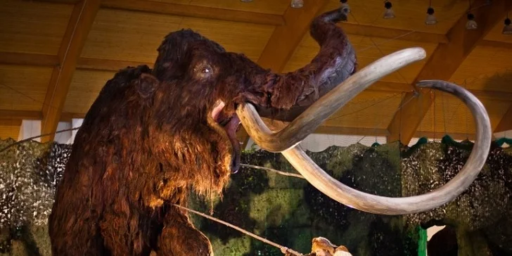 Výstava Giganti doby ledové i zrcadlové bludiště
