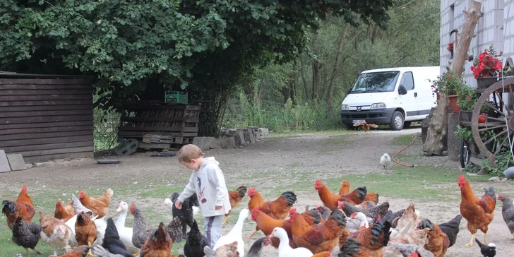 4 dny na farmě v Jižních Čechách u řeky Nežárky