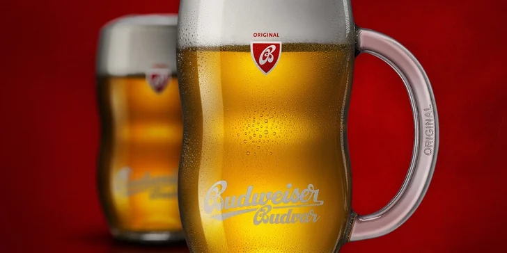 300g tatarský biftek a desatero topinek nebo 20 ks mix řízečků (kuřecí 10 ks / zeleninové 10 ks), zelný salát, dip a pečivo