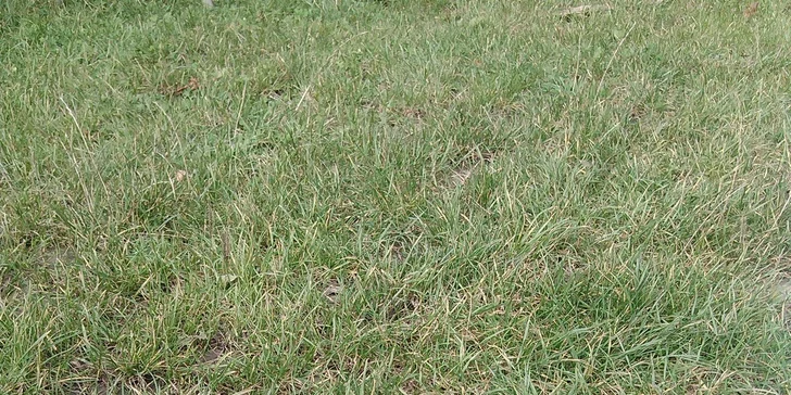 Pobytový letní farmářský tábor s koňmi a řemesly