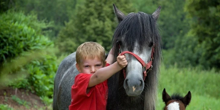 Pobytový letní farmářský tábor s koňmi a řemesly