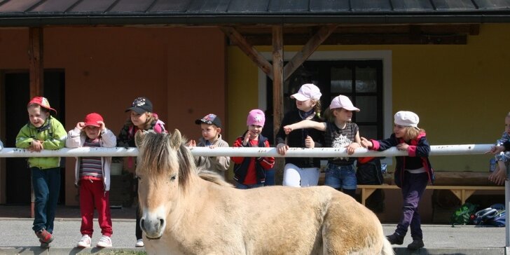 Pobytový letní farmářský tábor s koňmi a řemesly