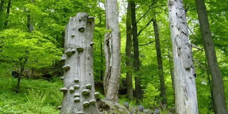 Víkendová relaxace a wellness ve Spa Resortu Bahenec