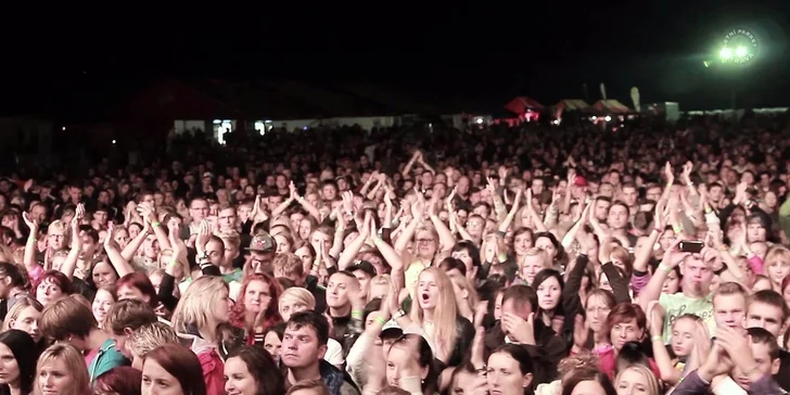 Vstupenka na koncert kapel Mig 21, Wohnout a Band-a-SKA