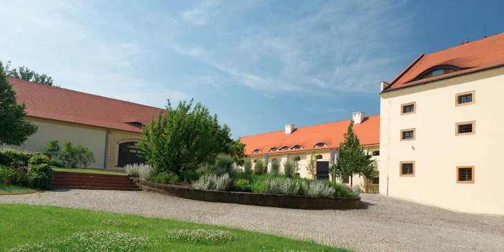 Romantická večeře nebo 6chodové degustační menu pro dva v Zámeckém Hotelu Ctěnice