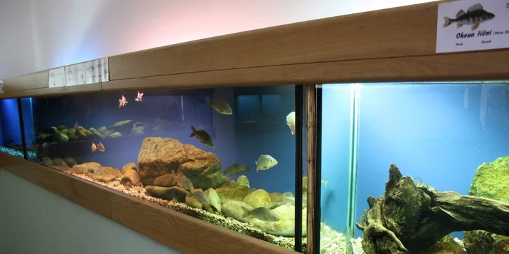 Rodinné vstupné do Akvária Krčínův dům Třeboň