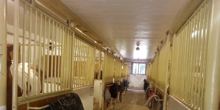 Letní pohoda na koňském ranči v apartmánech pro dva či celou rodinu