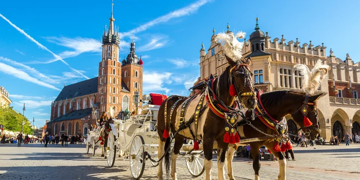 Jednodňový poznávací zájazd do Osvienčimu a Krakova: viacero nástupných miest