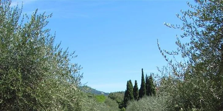 Zájezd do Provence včetně koupání v překrásném Nice