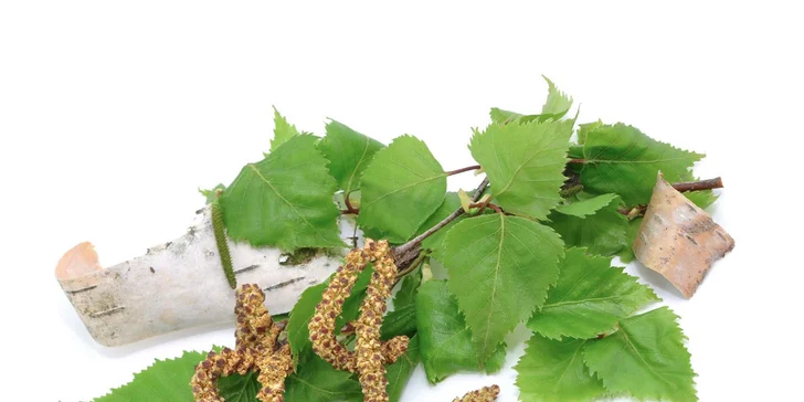 Testování 90 nejběžnějších alergenů neinvazivní metodou