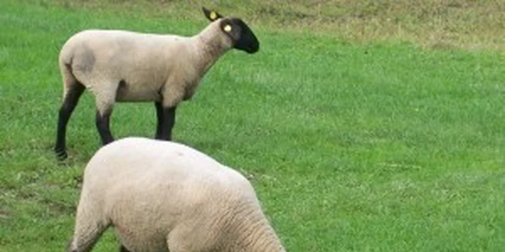 4 dny dovolené pro dva dospělé a dvě děti v Peci pod Sněžkou