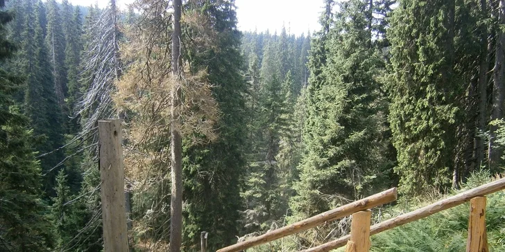 3denní pohoda pro dva včetně polopenze a možností wellness