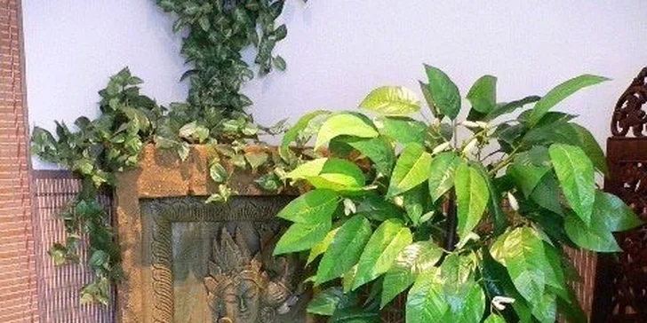 Aromatická masáž olejem ze zeleného čaje v délce 60 minut
