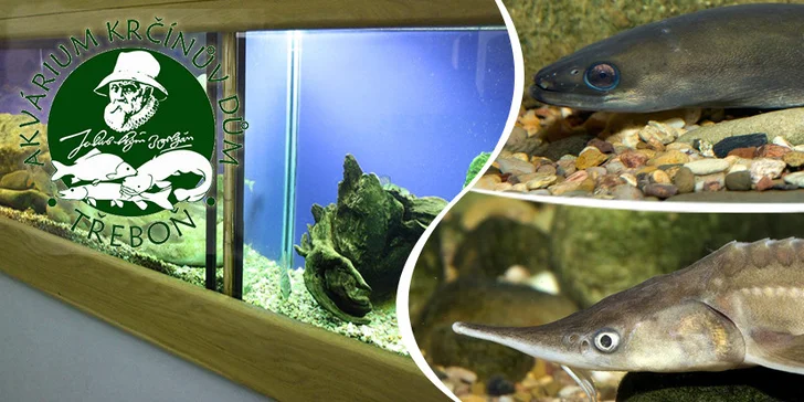Rodinné vstupné do Akvária Krčínův dům Třeboň