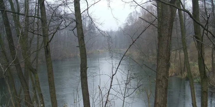 Pojďme na ryby - sportovní rybaření na celý rok