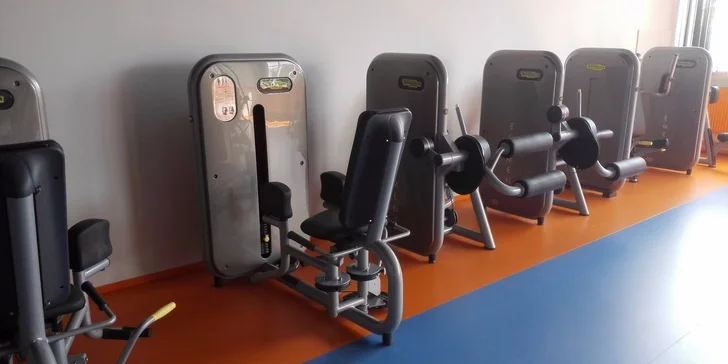 Měsíční členství do posilovny FitnessAction