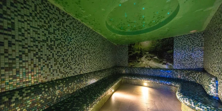 V saunovom svete je napr. parný kúpeľ, aromatický kúpeľ, infrasauna, horská sauna, suchá sauna a relaxačná zóna s Kneippovým brodiskom.