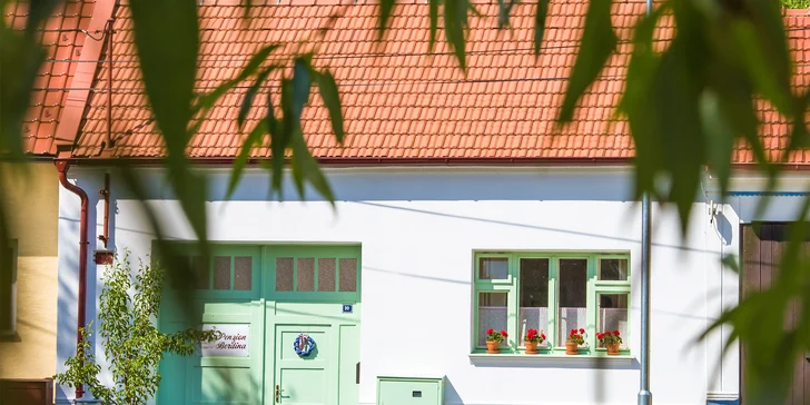  Přesně tohle vás čeká v malebném rodinném penzionu Berdina v Suché Lozi.