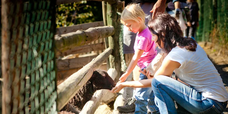 Mini Zoo