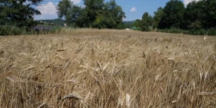 10 dní zážitků ve francouzské Provence