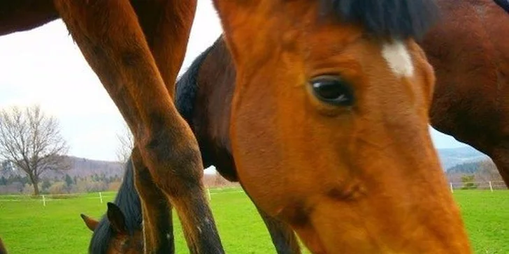 Bezva rodinná dovolená v horském hotelu na bio farmě