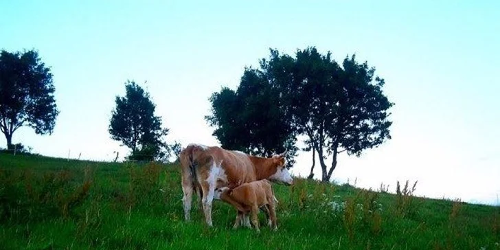 Bezva rodinná dovolená v horském hotelu na bio farmě