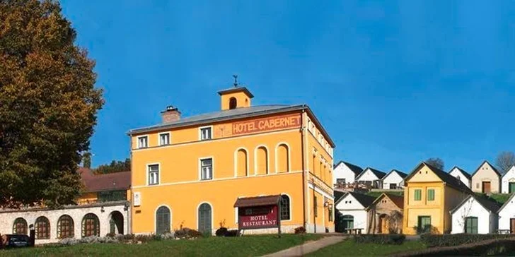 Vinařská dovolená v Maďarsku - až 7 dní v hotelu s vinicí