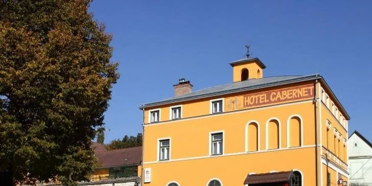 Vinařská dovolená v Maďarsku - až 7 dní v hotelu s vinicí