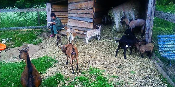 Pohodová dovolená na Klatovsku s chutnou domácí polopenzí + sleva na wellness