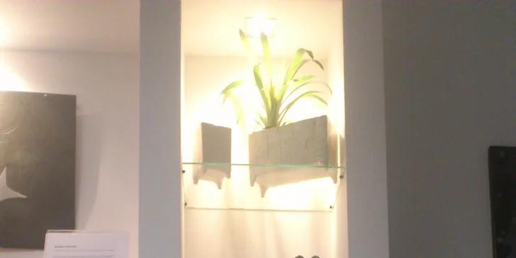 3D návrh místnosti od známé bytové designérky