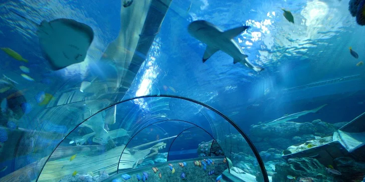 Výlet do zábavního parku Gardaland v Itálii včetně vstupů na atrakce
