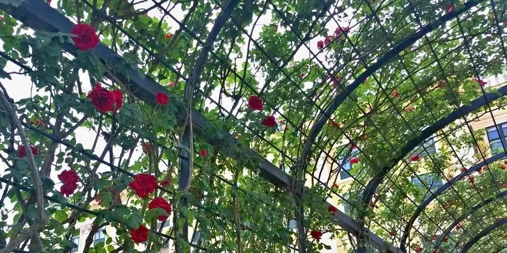 Výlet do vídeňského Primarku + Prater nebo Schönbrunn