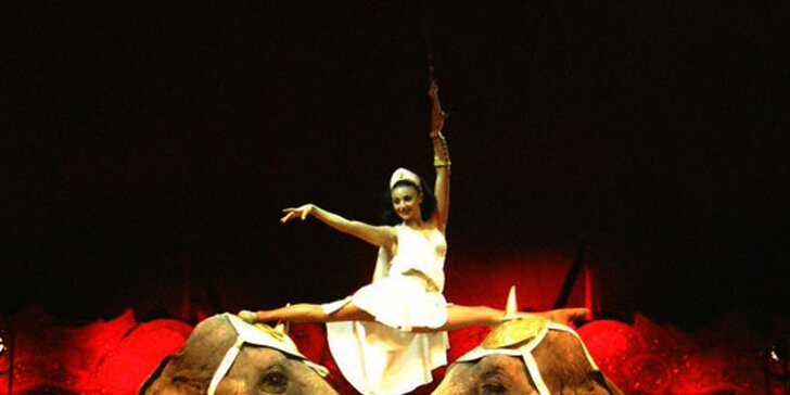 Show italského cirkusu Medrano v neděli 15.9.2013