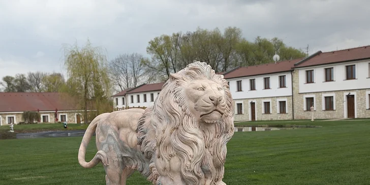 3 dny v hotelu Lions – wellness procedury, bazén i zmrzlina
