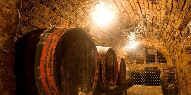 Vinařská dovolená v Maďarsku - až 7 dní v hotelu s vinicí