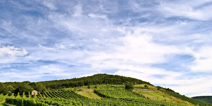Vinařská dovolená v Maďarsku - až 7 dní v hotelu s vinicí